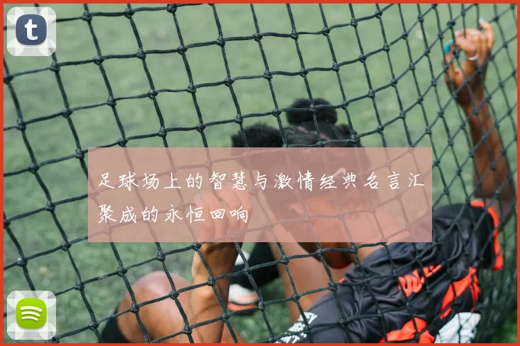 足球场上的智慧与激情经典名言汇聚成的永恒回响